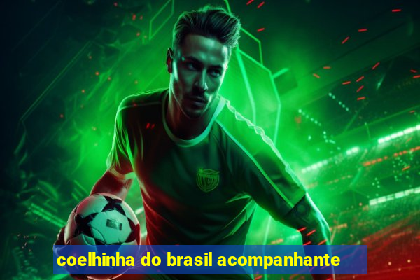 coelhinha do brasil acompanhante